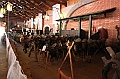 IMG_9715