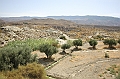 IMG_9763