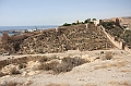 IMG_9781
