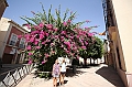 IMG_9801