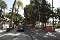 IMG_9810