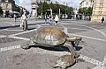 IMG_9842