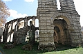IMG_9894