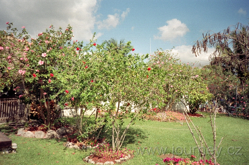 usa0041.jpg