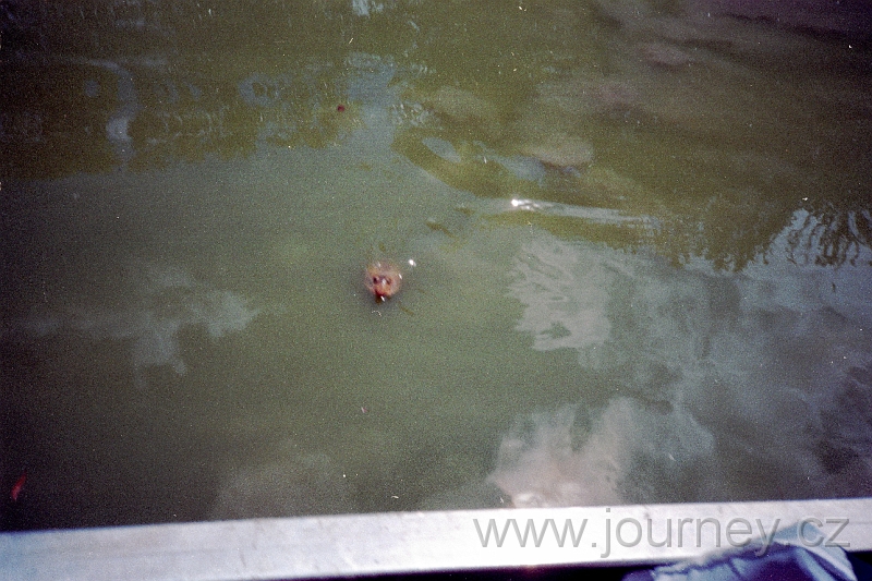 usa0043.jpg