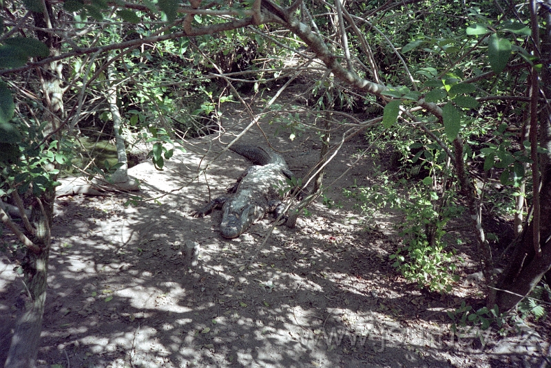 usa0049.jpg