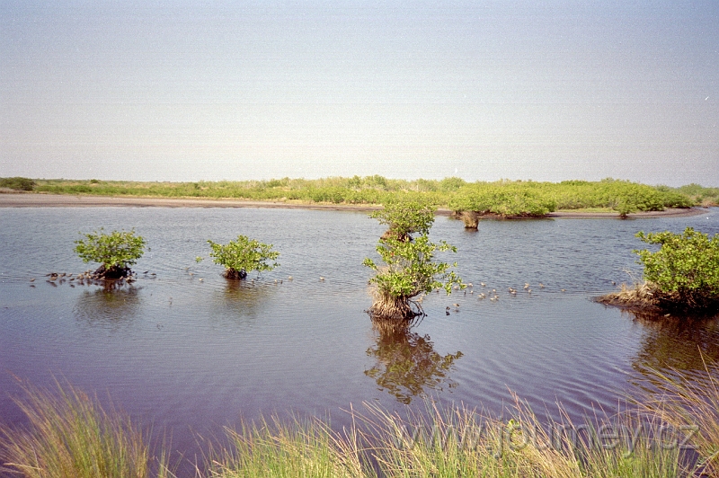 usa0080.jpg