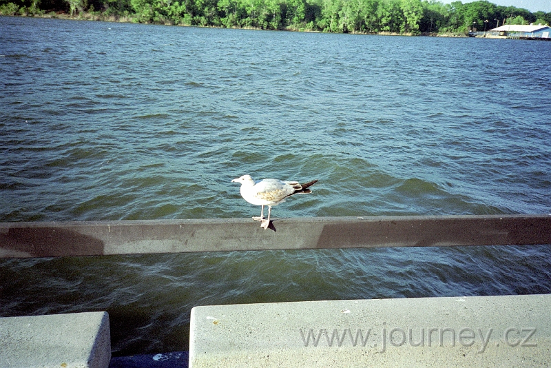 usa0113.jpg