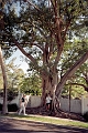 usa0024